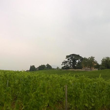 Chateau La Violette Les Marches Exteriör bild