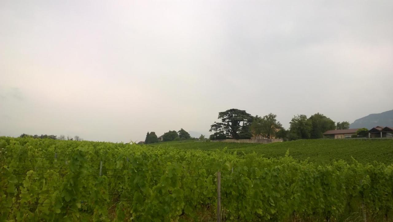 Chateau La Violette Les Marches Exteriör bild